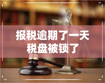 报税逾期了一天税盘被锁了