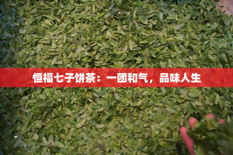 恒福七子饼茶：一团和气，品味人生