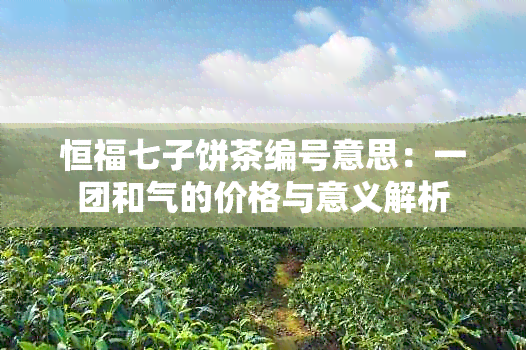 恒福七子饼茶编号意思：一团和气的价格与意义解析