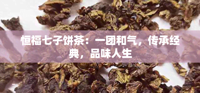 恒福七子饼茶：一团和气，传承经典，品味人生