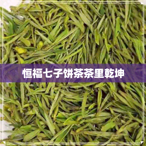 恒福七子饼茶茶里乾坤