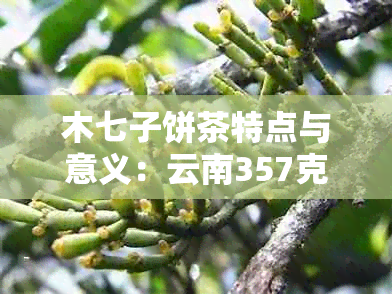 木七子饼茶特点与意义：云南357克茶叶如何存放？