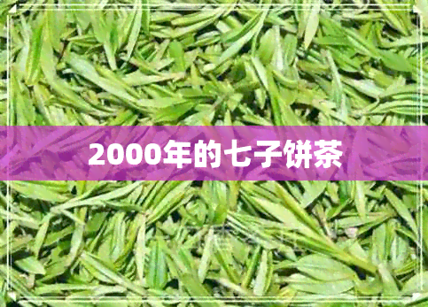 2000年的七子饼茶