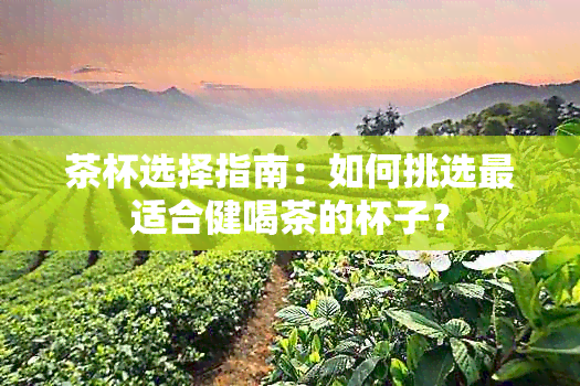 茶杯选择指南：如何挑选最适合健喝茶的杯子？