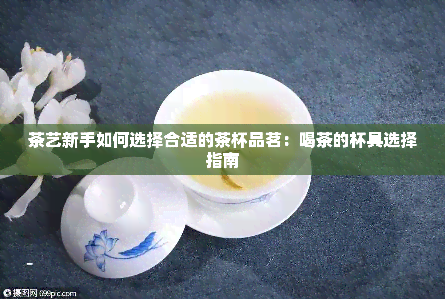 茶艺新手如何选择合适的茶杯品茗：喝茶的杯具选择指南