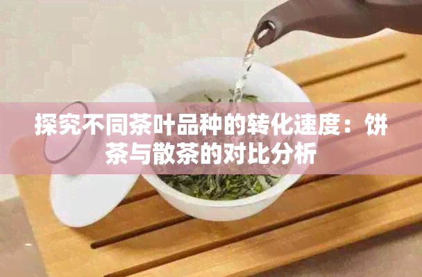 探究不同茶叶品种的转化速度：饼茶与散茶的对比分析