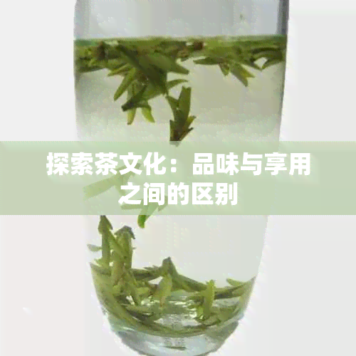 探索茶文化：品味与享用之间的区别