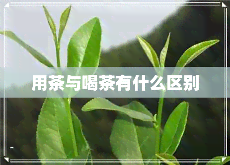 用茶与喝茶有什么区别