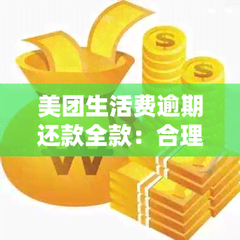 美团生活费逾期还款全款：合理性分析与争议解决探讨