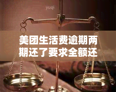 美团生活费逾期两期还了要求全额还款不然起诉： 用户疑问解答