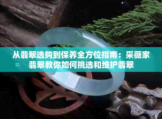 从翡翠选购到保养全方位指南：采薇家翡翠教你如何挑选和维护翡翠