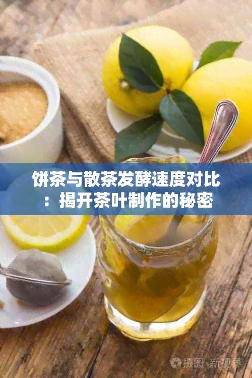 饼茶与散茶发酵速度对比：揭开茶叶制作的秘密