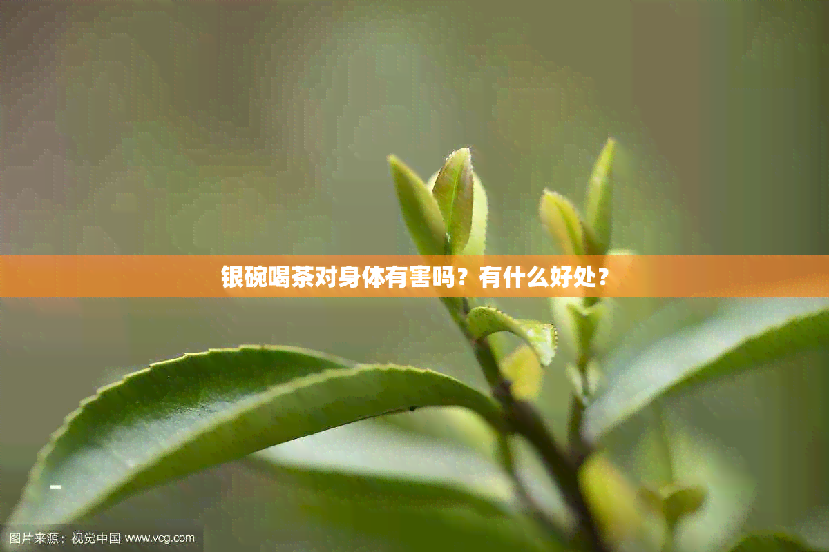 银碗喝茶对身体有害吗？有什么好处？