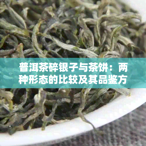 普洱茶碎银子与茶饼：两种形态的比较及其品鉴方法详解