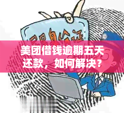 美团借钱逾期五天还款，如何解决？