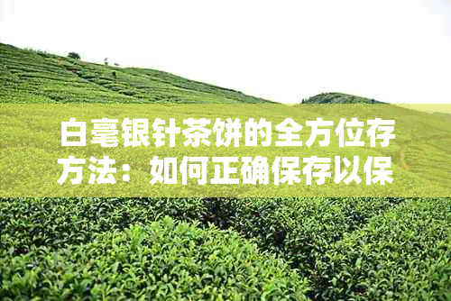 白毫银针茶饼的全方位存方法：如何正确保存以保持其品质和风味？