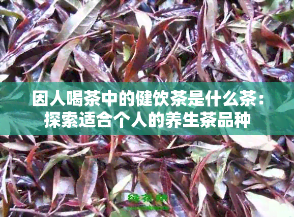 因人喝茶中的健饮茶是什么茶：探索适合个人的养生茶品种