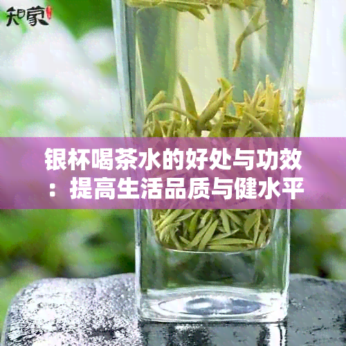 银杯喝茶水的好处与功效：提高生活品质与健水平