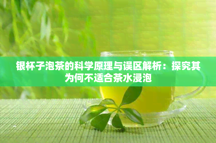 银杯子泡茶的科学原理与误区解析：探究其为何不适合茶水浸泡