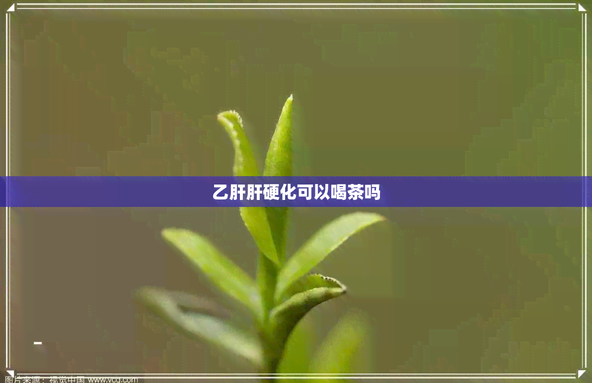 乙肝肝硬化可以喝茶吗