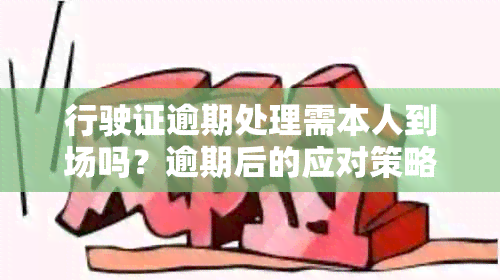 行驶证逾期处理需本人到场吗？逾期后的应对策略与罚款时限是什么？