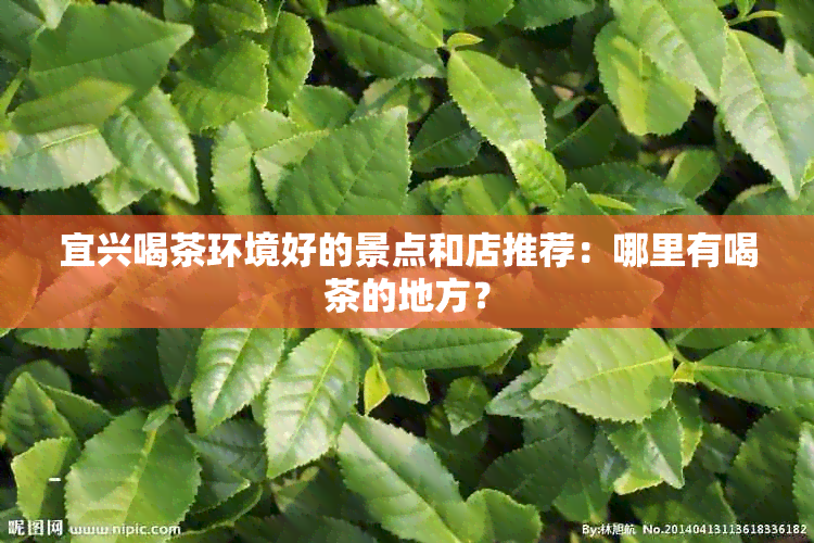 宜兴喝茶环境好的景点和店推荐：哪里有喝茶的地方？