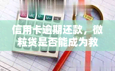 信用卡逾期还款，微粒贷是否能成为救急金矿？