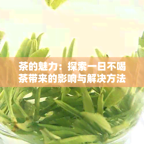 茶的魅力：探索一日不喝茶带来的影响与解决方法