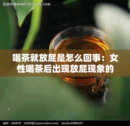 喝茶就放屁是怎么回事：女性喝茶后出现放屁现象的原因是什么？