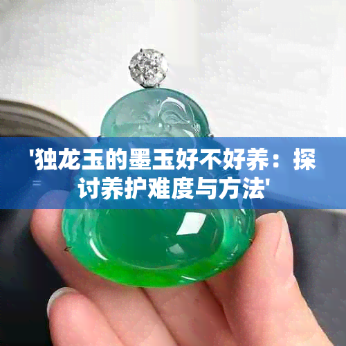 '独龙玉的墨玉好不好养：探讨养护难度与方法'