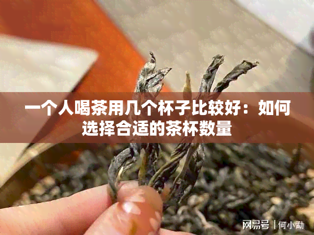 一个人喝茶用几个杯子比较好：如何选择合适的茶杯数量