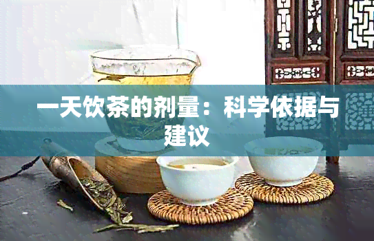 一天饮茶的剂量：科学依据与建议