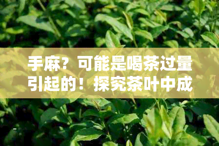 手麻？可能是喝茶过量引起的！探究茶叶中成分对神经的影响及如何避免