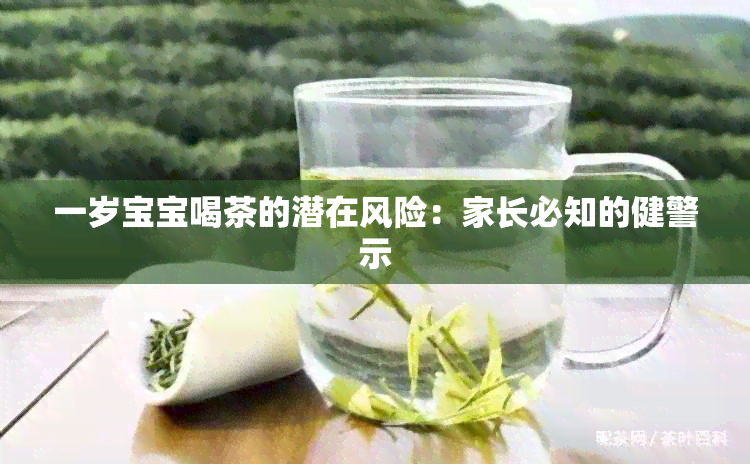 一岁宝宝喝茶的潜在风险：家长必知的健警示