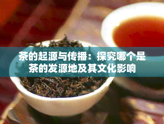 茶的起源与传播：探究哪个是茶的发源地及其文化影响