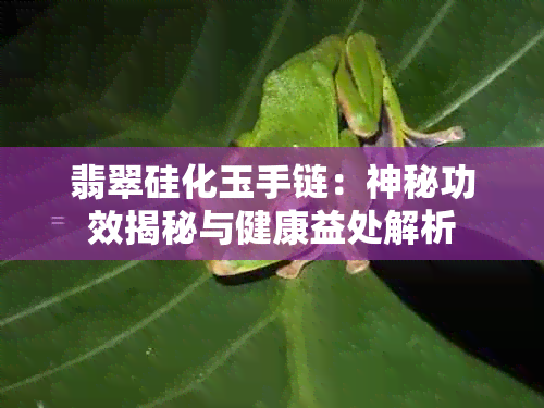 翡翠硅化玉手链：神秘功效揭秘与健康益处解析