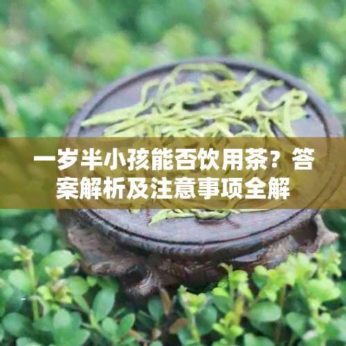 一岁半小孩能否饮用茶？答案解析及注意事项全解