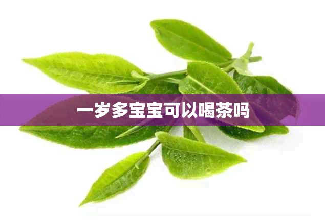 一岁多宝宝可以喝茶吗