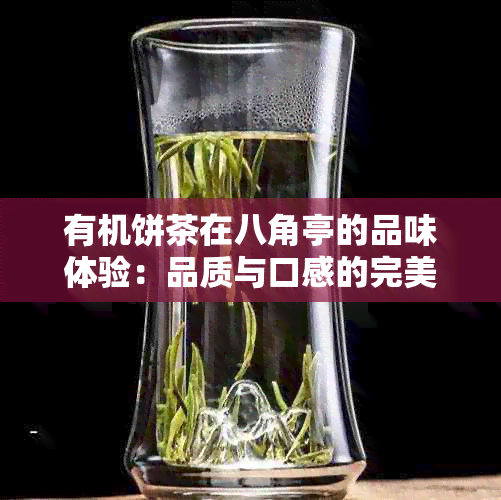 有机饼茶在八角亭的品味体验：品质与口感的完美融合