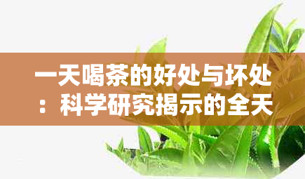 一天喝茶的好处与坏处：科学研究揭示的全天候饮茶影响及适宜剂量