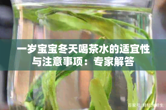 一岁宝宝冬天喝茶水的适宜性与注意事项：专家解答