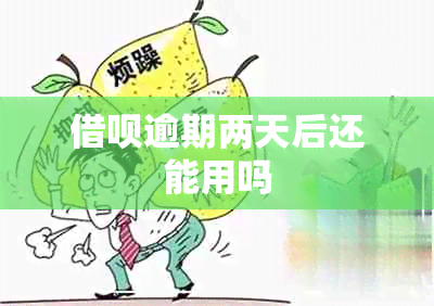 借呗逾期两天后还能用吗