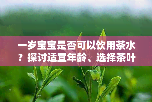 一岁宝宝是否可以饮用茶水？探讨适宜年龄、选择茶叶和注意事项