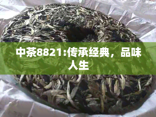 中茶8821:传承经典，品味人生