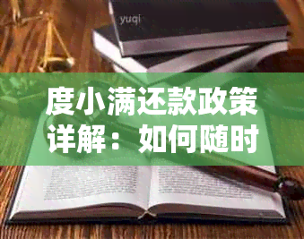 度小满还款政策详解：如何随时进行还款以及相关注意事项