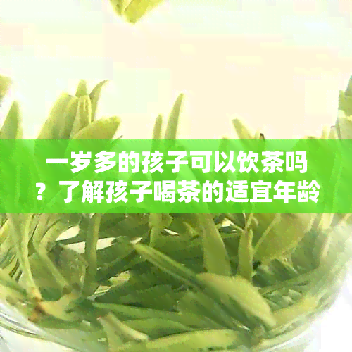 一岁多的孩子可以饮茶吗？了解孩子喝茶的适宜年龄与注意事项