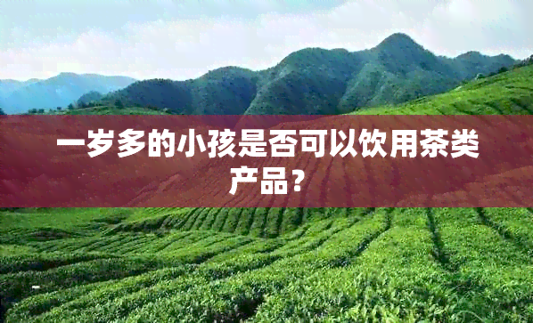 一岁多的小孩是否可以饮用茶类产品？