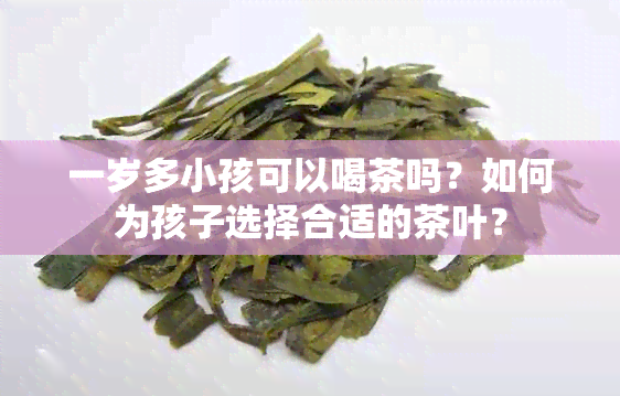 一岁多小孩可以喝茶吗？如何为孩子选择合适的茶叶？