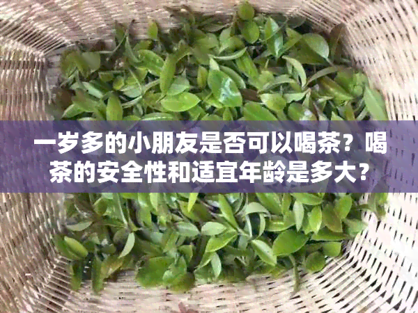 一岁多的小朋友是否可以喝茶？喝茶的安全性和适宜年龄是多大？