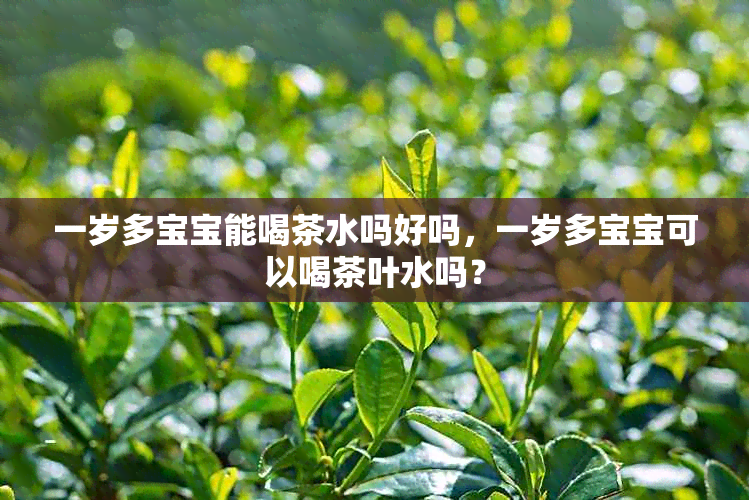 一岁多宝宝能喝茶水吗好吗，一岁多宝宝可以喝茶叶水吗？